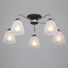 Потолочная люстра Vitaluce V3946-1/5PL