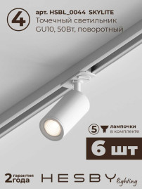Накладная однофазная трековая система Hesby Lighting Skylite №3 со светильниками HSBL_kompl_S003_NI2W4K