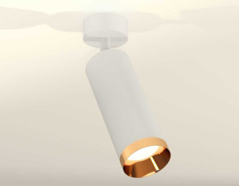 Комплект накладного светильника Ambrella light Techno Spot XM6342005 SWH/PYG белый песок/золото желтое полированное (A2202, C6342, N6134)
