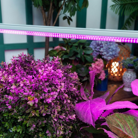 Настенный светодиодный светильник для растений Uniel ULI-P21-24W/SPSB IP40 White UL-00008921