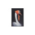 Картина Lumina Deco FP Hermes Swan 50-70