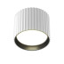 Потолочный светильник Maytoni Technical Ceiling Calipso C106CL-GX53-W