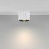 Потолочный светильник Maytoni Technical Ceiling Calipso C106CL-GX53-W