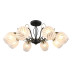 Потолочная люстра Omnilux Garda OML-65507-08