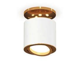 Комплект накладного поворотного светильника Ambrella light XS7401120 SWH/PYG белый песок/золото желтое полированное MR16 GU5.3 (N7929, C7401, N7004)