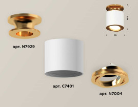 Комплект накладного поворотного светильника Ambrella light XS7401120 SWH/PYG белый песок/золото желтое полированное MR16 GU5.3 (N7929, C7401, N7004)