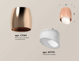 Комплект накладного светильника Ambrella light Techno Spot XS1144021 PPG/FR золото розовое полированное/белый матовый (C1144, N7175)