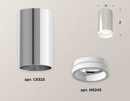 Комплект потолочного светильника Ambrella light Techno Spot XC (C6325, N6245) XS6325040