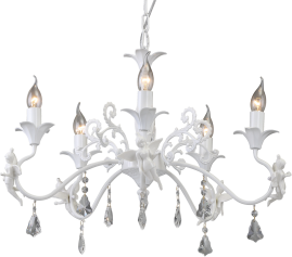 Подвесная люстра Arte Lamp Angelina A5349LM-5WH