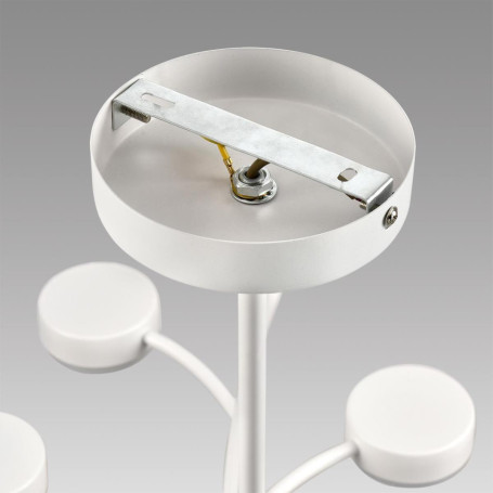 Люстра Lumion TORINA 8265/18