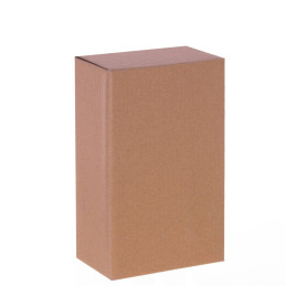 Шкатулка для украшений, L20 W14 H5 см (815301)