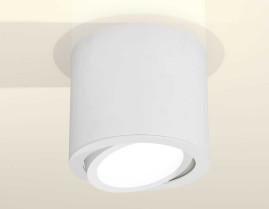 Комплект накладного светильника Ambrella light Techno Spot XS7401001 SWH белый песок (C7401, N7001)