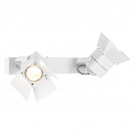 Спот Citilux Рубик CL526520S