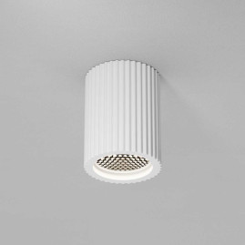 Потолочный светильник Maytoni Technical C121CL-GU10-W