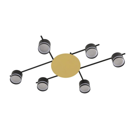 Светильник потолочный Lumion BENUA 8304/6C