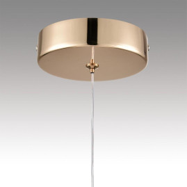Подвесной светодиодный светильник Lumion Ledio Rimini 8083/1A
