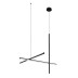 Подвесной светильник Loft IT Coordinates 10393/D Black