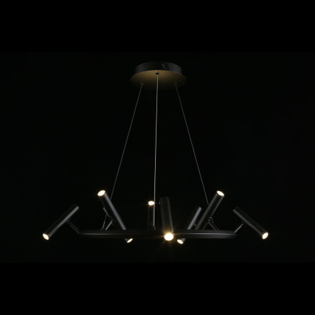 Подвесная светодиодная люстра Aployt Honor APL.067.03.40