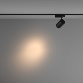 Трековый светильник Maytoni Technical TR029-3-26W3K-S-B