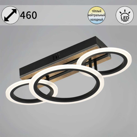 Светильник потолочный Reluce 00330-0.3-2+1