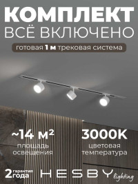 Встраиваемая однофазная трековая система Hesby Lighting Skylite №13 со светильниками HSBL_kompl_S013_VI1W3K