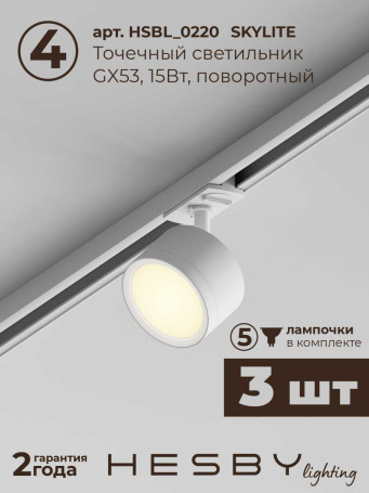 Встраиваемая однофазная трековая система Hesby Lighting Skylite №13 со светильниками HSBL_kompl_S013_VI1W3K