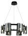 Подвесная люстра Zortes RONY ZRS.1209.06