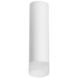 Комплект с потолочным светильником Lightstar Rullo (216496+202481) R649681