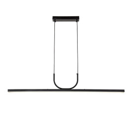 Подвесная светодиодная люстра Favourite Raya 4096-2P