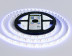 Светодиодная влагозащищенная лента Ambrella Light 9,6W/m 120LED/m 2835SMD холодный белый 5M GS1203