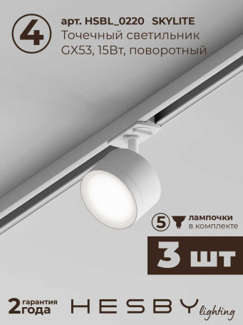 Встраиваемая однофазная трековая система Hesby Lighting Skylite №13 со светильниками HSBL_kompl_S013_VI1W4K