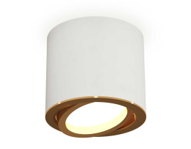 Комплект накладного светильника Ambrella light Techno Spot XS7401004 SWH/PYG белый песок/золото желтое полированное (C7401, N7004)