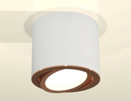 Комплект накладного светильника Ambrella light Techno Spot XS7401005 SWH/PPG белый песок/золото розовое полированное (C7401, N7005)