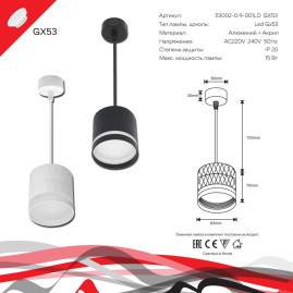 Подвесной светильник Reluce Technical 53002-0.9-001LD GX53 BK