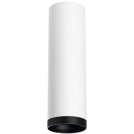 Комплект с потолочным светильником Lightstar Rullo (216496+203487) R64963487