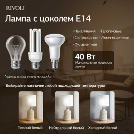 Настольная лампа Rivoli Marian 7549-502 Б0070135