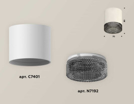 Комплект накладного светильника Ambrella light Techno Spot XS7401021 SWH/BK белый песок/тонированный (C7401, N7192)