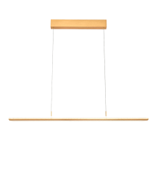 Подвесной светильник Vele Luce Futuro VL7224P01