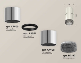 Комплект накладного светильника Ambrella light Techno Spot XS7405042 PSL/BK серебро полированное/тонированный (C7405, A2071, C7405, N7192)