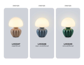 Настольная лампа Ambrella Light HIGH LIGHT LH53248