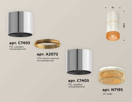 Комплект накладного светильника Ambrella light Techno Spot XS7405062 PSL/CF серебро полированное/кофе (C7405, A2072, C7405, N7195)