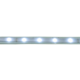 Светодиодная влагозащищенная лента Saffit 6W/m 60LED/m 2835SMD холодный белый 50М SST20 55245