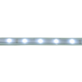 Светодиодная влагозащищенная лента Saffit 6W/m 60LED/m 2835SMD холодный белый 50М SST20 55245
