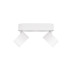 Спот Loft IT Focus 10323/2A White