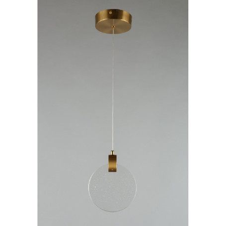 Подвесной светодиодный светильник Aployt Frederik APL.054.06.05