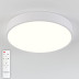 Потолочный светодиодный светильник Natali Kovaltseva LED LAMPS 81111/5C