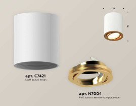 Комплект накладного светильника Ambrella light Techno Spot XS7421003 SWH/PYG белый песок/золото желтое полированное (C7421, N7004)