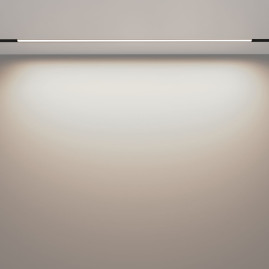 Трековый светодиодный светильник Maytoni Technical Exility Basis TR030-2-30W4K-B