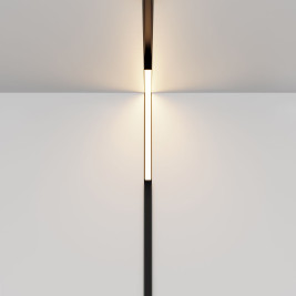 Трековый светодиодный светильник Maytoni Technical Exility Basis Angle TR102-24W-DS-B