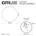Светильник потолочный Citilux RON CL941D25B5